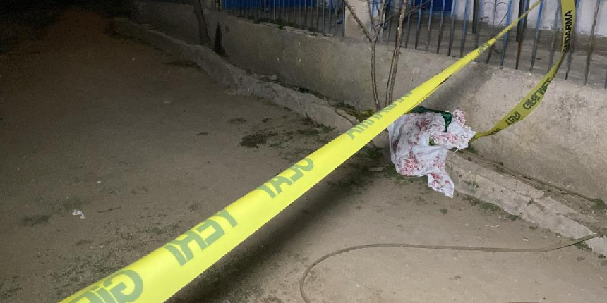 Ağabeyini ve annesini öldürüp intihar etti!