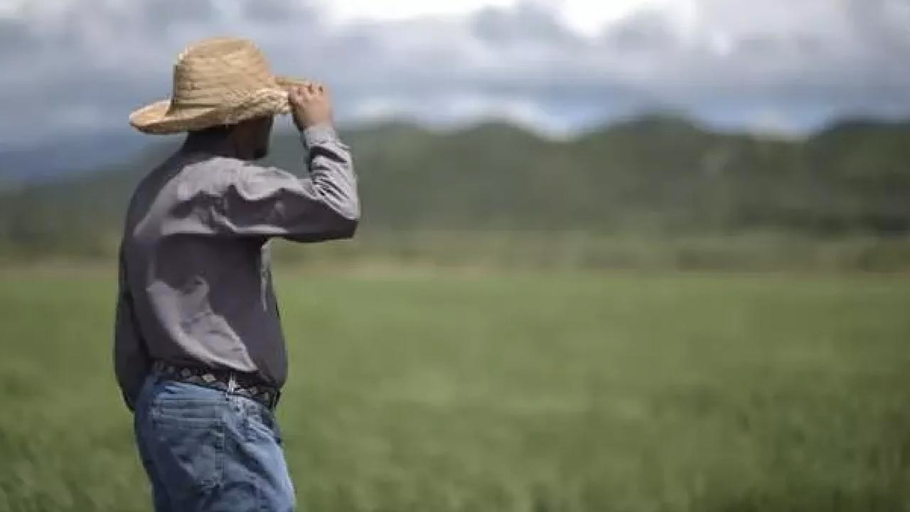 Küresel gıda fiyatları rekor kırdı