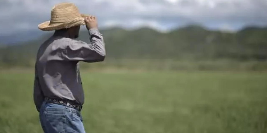 Küresel gıda fiyatları rekor kırdı