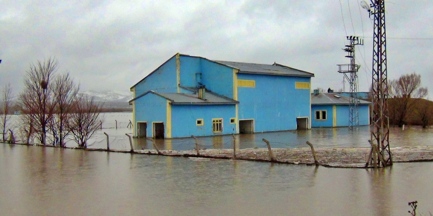 Kars Çayı taştı: Azgın sular önüne çıkan her şeyi baraja taşıyor!
