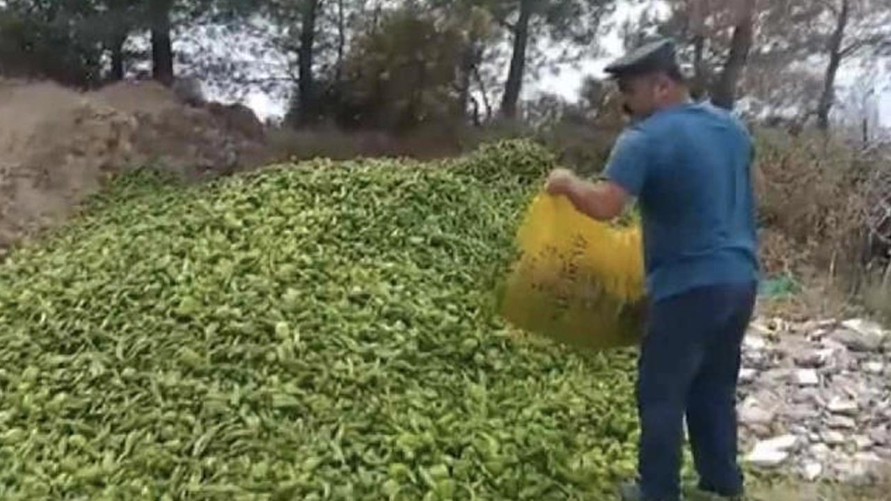 Ticaret Bakanlığı'ndan o görüntülerle ilgili açıklama geldi: Algı operasyonu yürütüldü