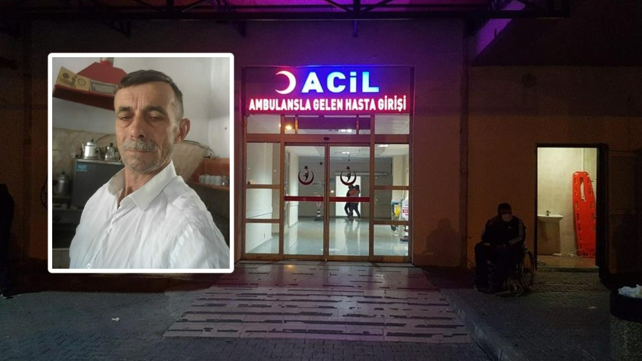 Kestiği ağacın altında kalarak hayatını kaybetti!