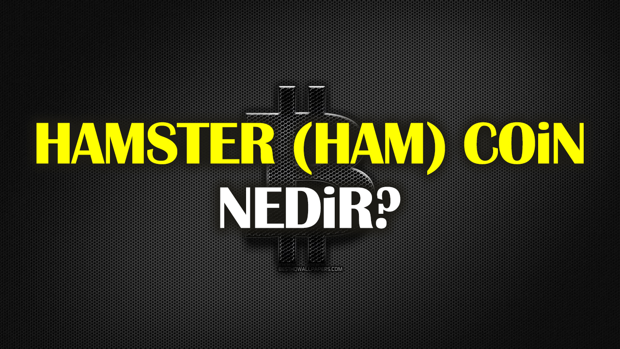 Hamster (HAM) Coin satın alma