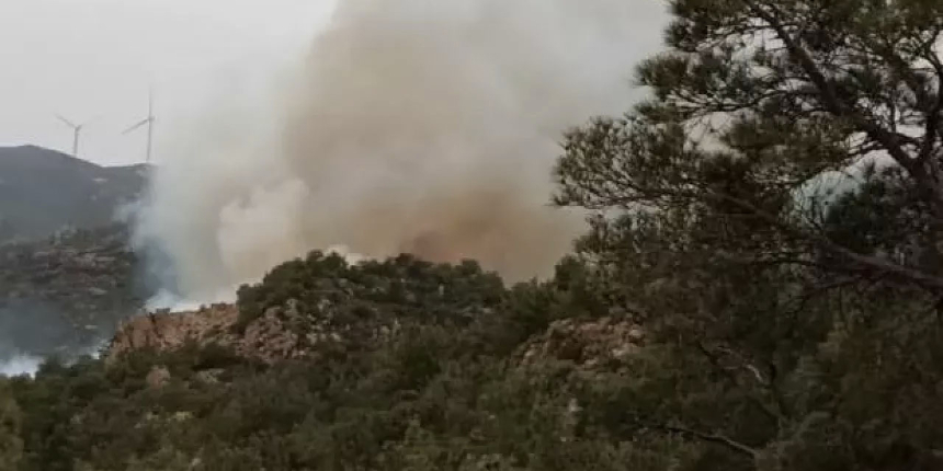 Bodrum'da ormanlık alanda yangın: Çok sayıda ekip müdahale ediyor