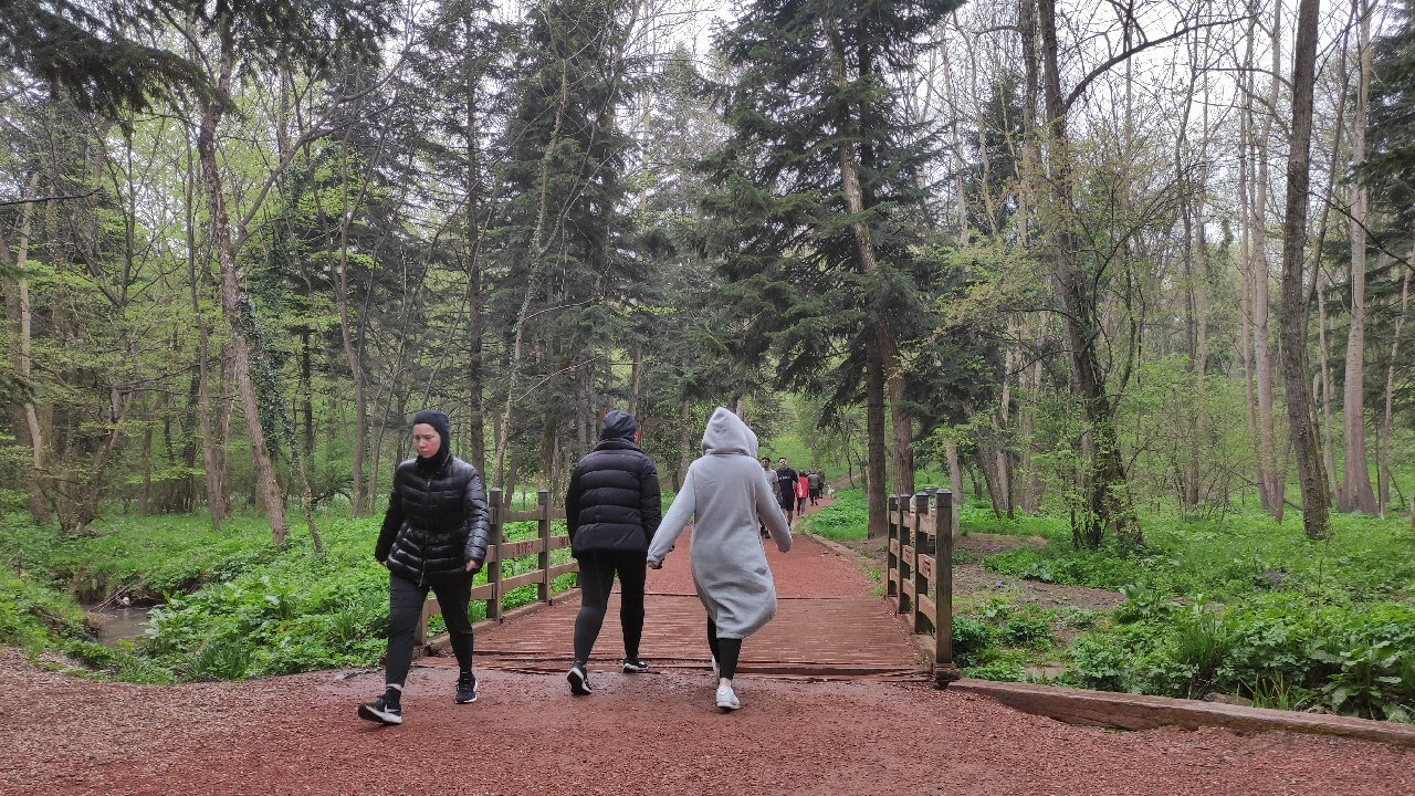 Belgrad Ormanı'na araçla giriş ücretlerine vatandaşlardan tepki!