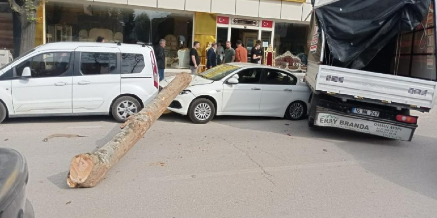Kamyonun üzerinden düşen tomruk, üç aracı ezdi