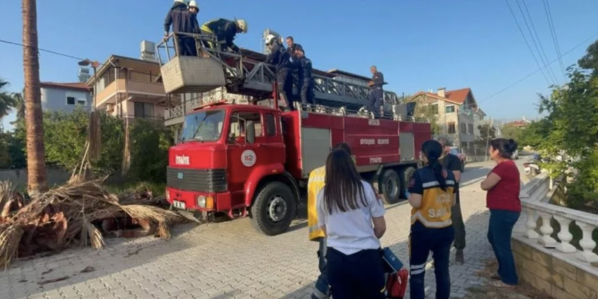 Budamak için çıktığı ağaçta hayatını kaybetti: Kimse yardım edemedi