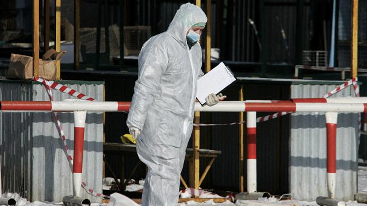 Koronavirüs salgını biterken bir virüs daha çıktı: Yine ilk Çin'de görüldü