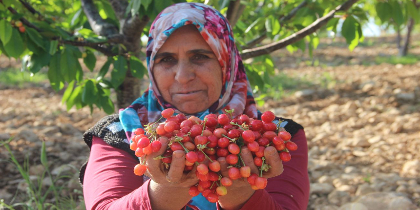 Açık artırma ile satıldı... Fiyatı dudak uçuklattı