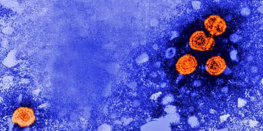 Gizemli hepatit virüsü dünyaya yayılıyor!