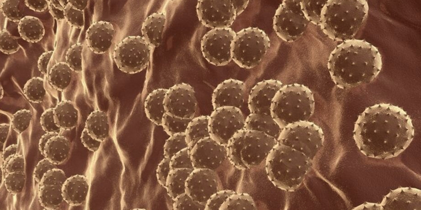Gizemli hepatit virüsü yayılmaya devam ediyor: Uzmanlar merak edilen 7 soruyu yanıtladı