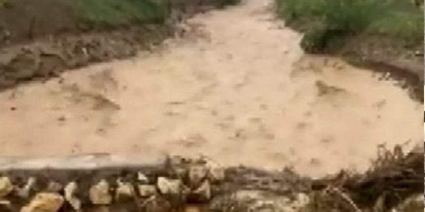 Elazığ’da dereler taştı, su altında kalan tarım arazileri zarar gördü