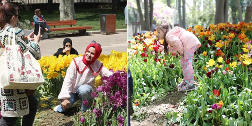 Gülhane Parkı'nda laleler telef oldu: Görüntüler büyük tepki çekti!