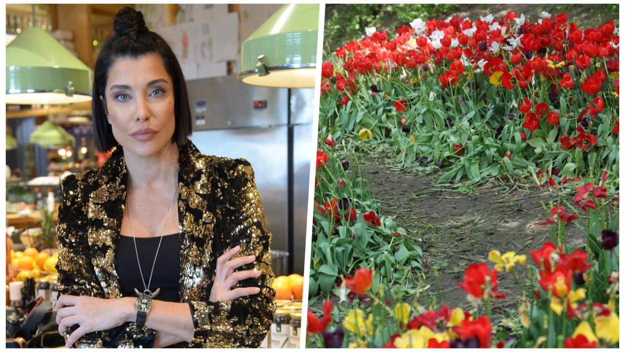 Gülhane Parkı'ndaki görüntüler Deniz Akkaya'yı isyan ettirdi