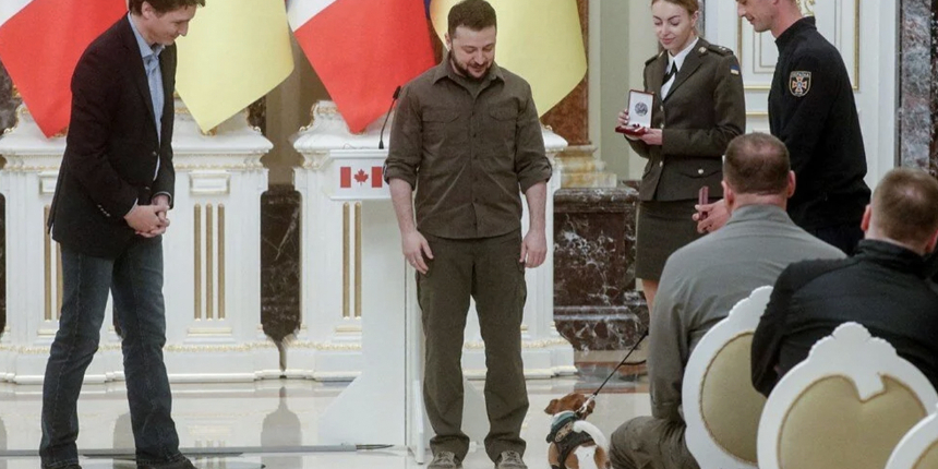 Ukrayna Devlet Başkanı Zelenskiy sosyal medya fenomeni köpeğe 'devlet nişanı' taktı