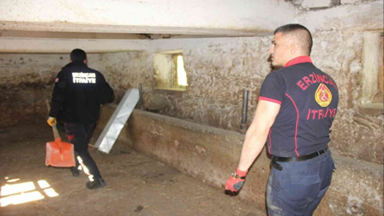 Samanlıkta iğne arar gibi 1,5 saat boyunca yılanı aradılar