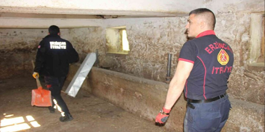 Samanlıkta iğne arar gibi 1,5 saat boyunca yılanı aradılar