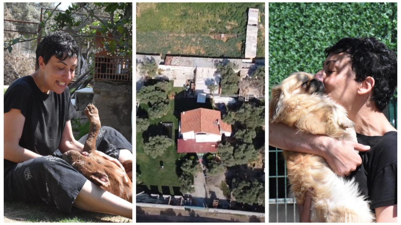 Can Bonomo'nun ablasından alkışlanacak hareket... 165 köpeğe sahip çıktı