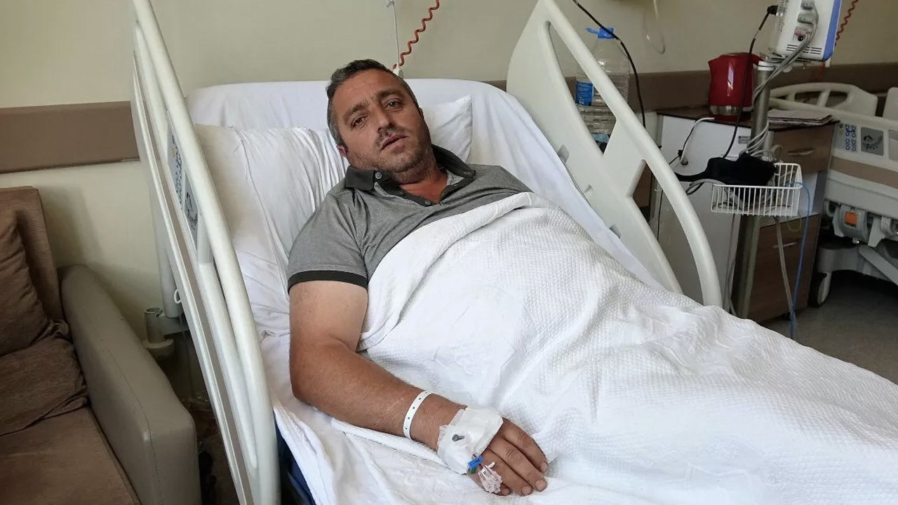 Ayı ile güreşti, keneye yenildi: "Ayı bu kadar hırpalamadı" dedi