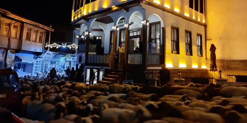 Şehir merkezinden geçen koyun sürüsü ilginç görüntüler oluşturdu