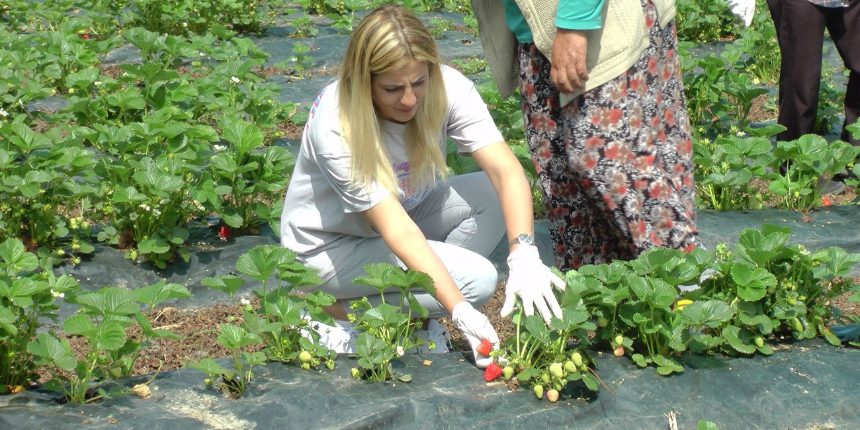 Kozmetik toptancılığını bırakıp, tarlaya merak saldı