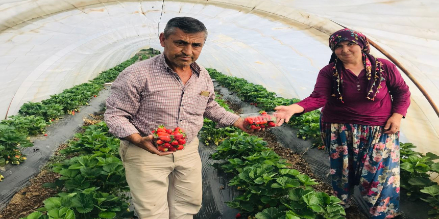 Kilosu 25 lira... Türkiye’nin yaklaşık yüzde 10’unu karşılıyor
