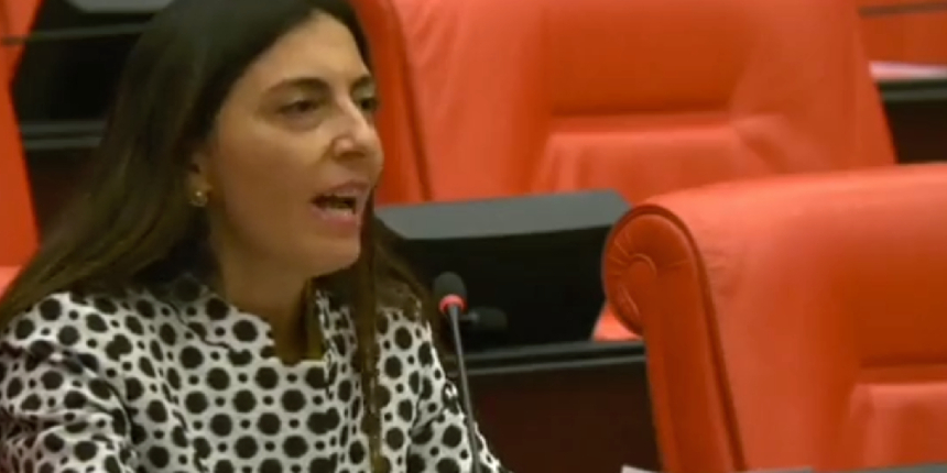 CHP'li vekilden TBMM'de Aynur Doğan'a şarkılı destek! Önce "Everyway That I Can", sonra Dar Hejiroke