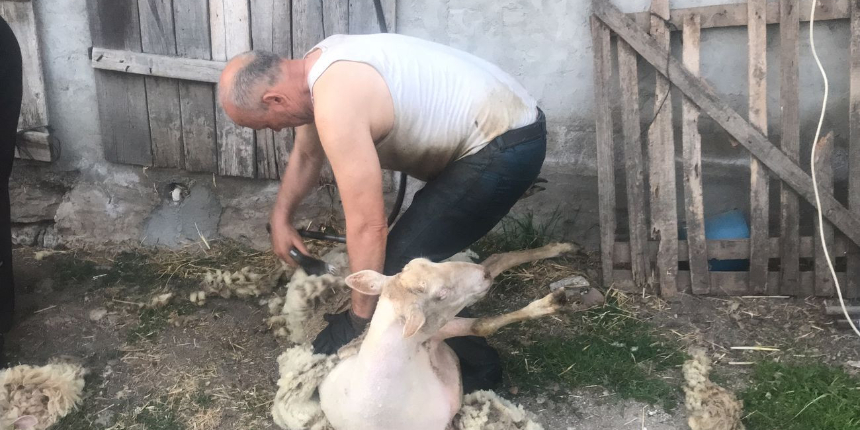 Ekip kurdular... Günde 100 tane ile 2 bin TL kazanıyor