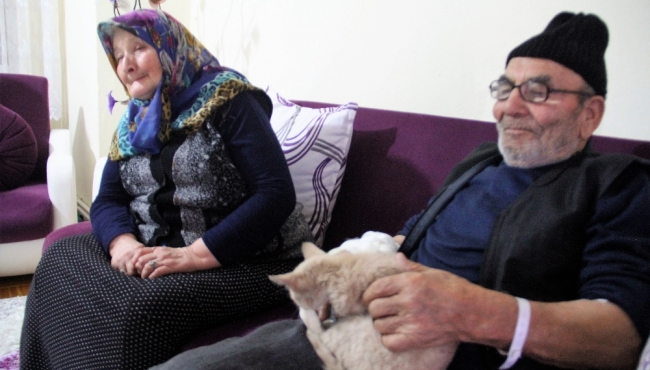 Taburcu olan Ali Meşe, kedisinden bir an olsun ayrılmıyor!