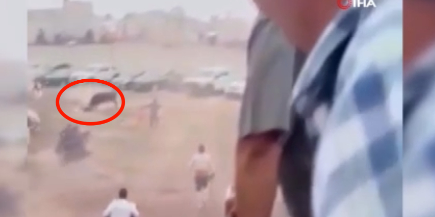 Arenadan kaçan boğa 4 kişiyi hastanelik etti!