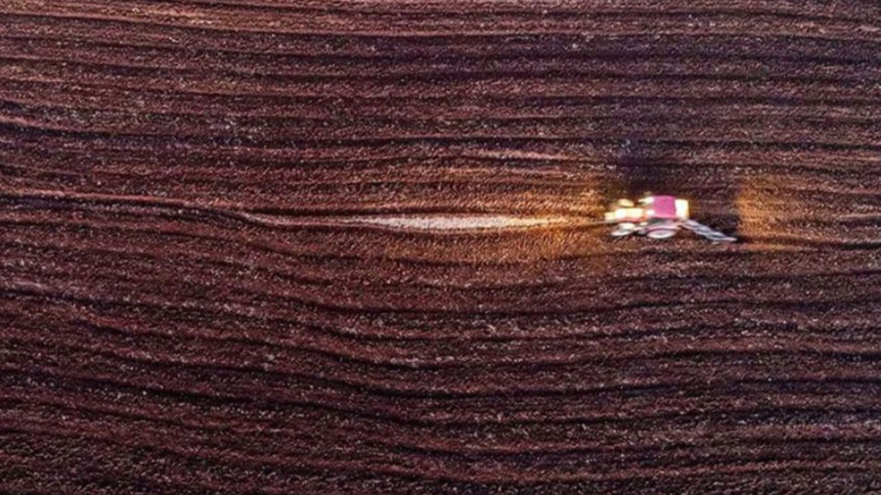 Bakan açıkladı... 2023’e kadar 85 milyon dekar