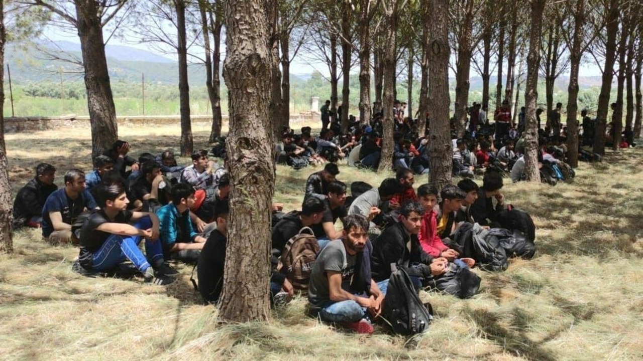 Muğla'da 5 araçta 237 kaçak göçmen yakalandı, 4 organizatör tutuklandı