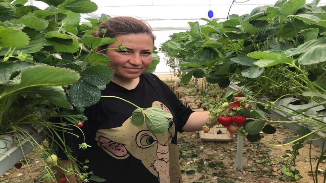 İkisi de elektrik mühendisiydi... Tarıma yöneldiler