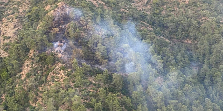 Fethiye’deki orman yangını kontrol altına alındı