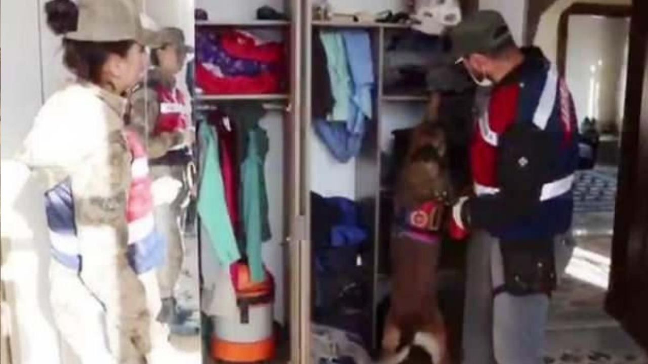 'Ucuz kurbanlık' çetesi gözaltına alındı: 3'ü kamu görevlisi 31 kişi