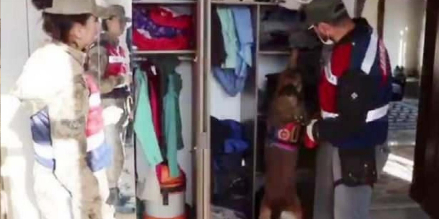 'Ucuz kurbanlık' çetesi gözaltına alındı: 3'ü kamu görevlisi 31 kişi
