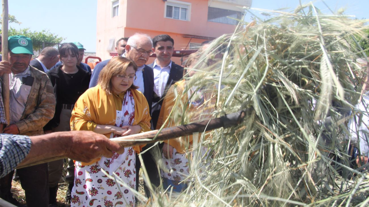 Geleneksel yöntemlerle yapılıyor... Firik üretimi başladı
