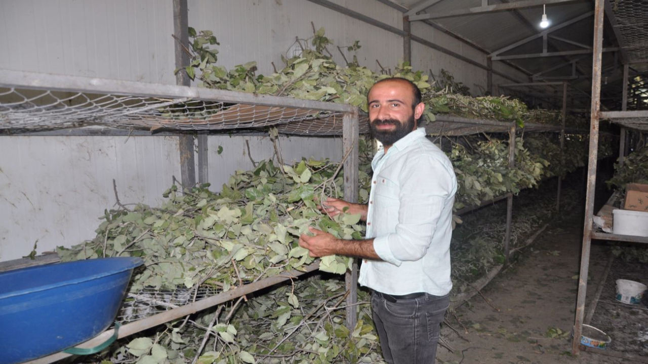 Unutulmaya yüz tutan ata mesleği, 40 günde 20 bin lira kazandırıyor