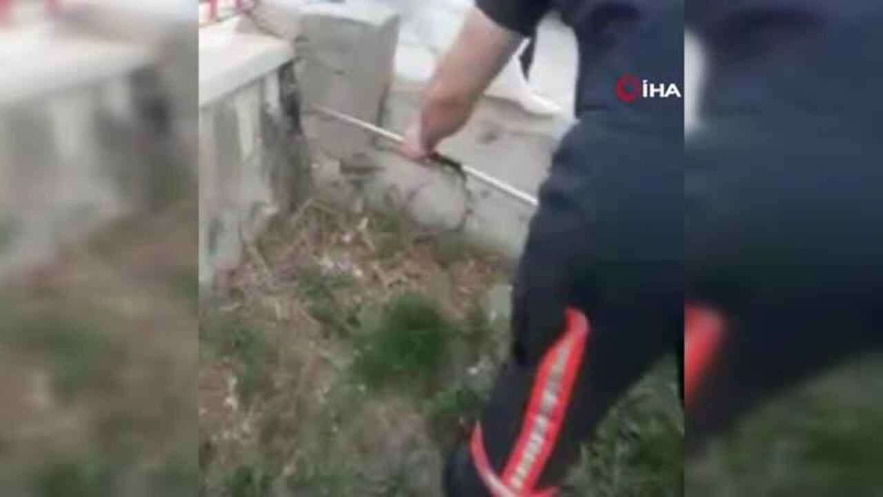 Binanın istinat duvarına giren yılanı itfaiye çıkardı!