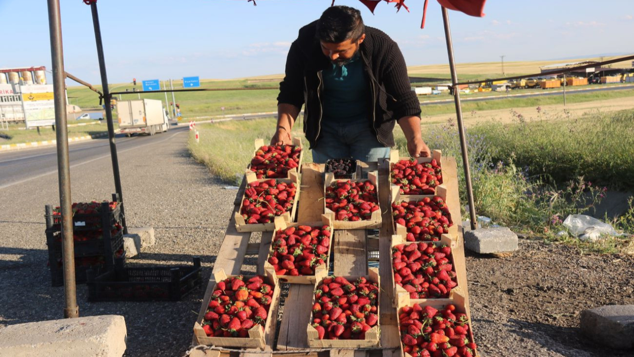 Markette maaşını az bulunca iş kurdu: Yıllık 800 bin TL kazanıyor