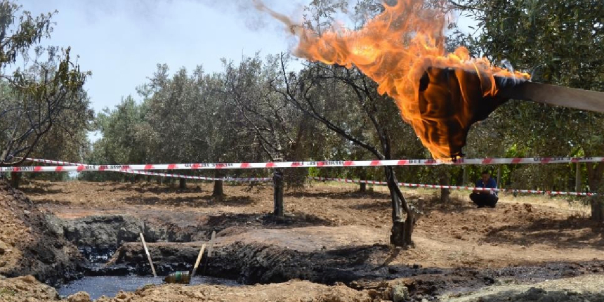Manisa’da petrol sevinci! Zeytin tarlasından çıkan sıvının çok kaliteli petrol olduğu tespit edildi