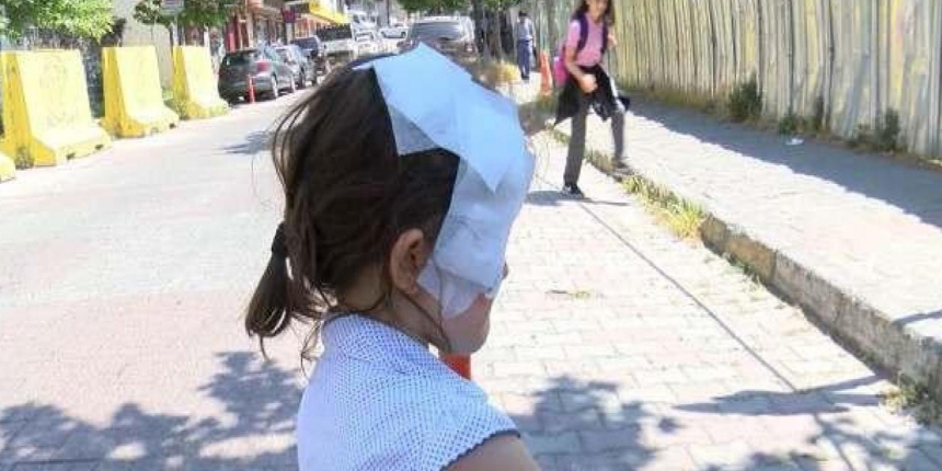 Gaziosmanpaşa'daki pitbull saldırısında yeni gelişme: Köpeği kaçırdılar!