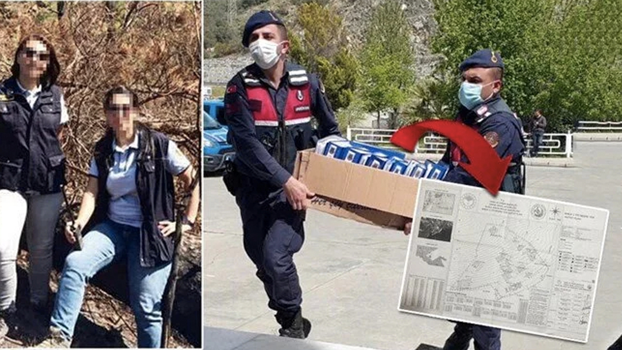 Orman vurgunu ile devleti 3 milyon lira zarara uğratmışlardı: Sahte 'vaziyet planı' ortaya çıktı