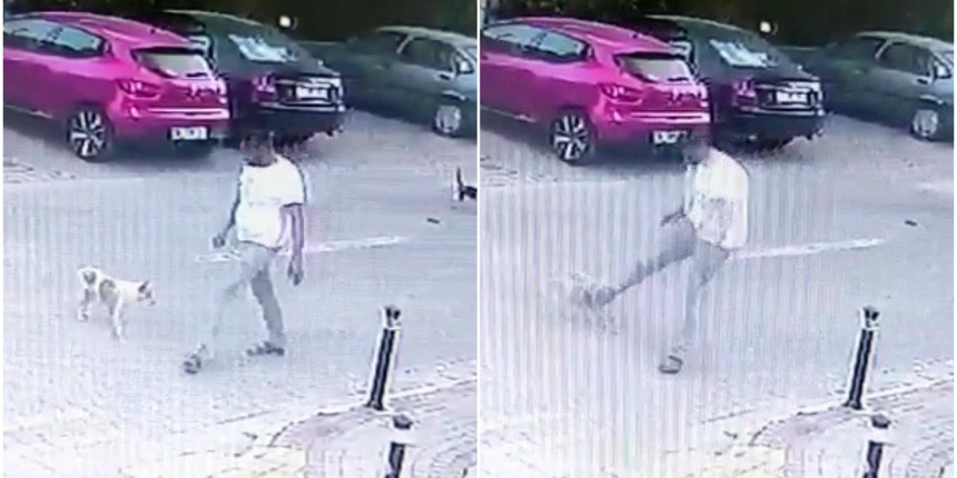 Sokak köpeğine tekme attı: O anlar kameralara yansıdı