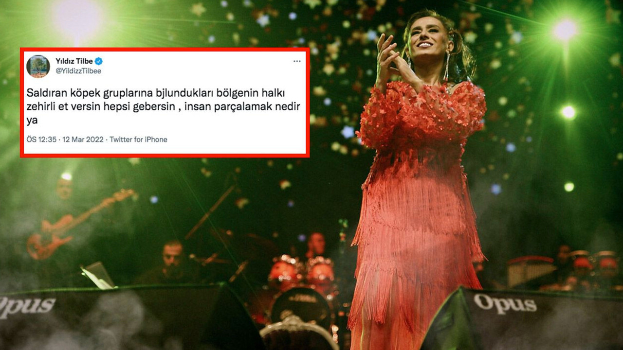 'Köpeklere zehirli et verin' demişti... Mahkeme, Yıldız Tilbe hakkında kararını verdi