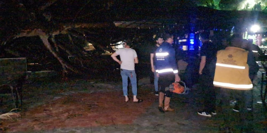 Bir günde iki şok: Önce ağaç devrildi, sonra hırsız girdi