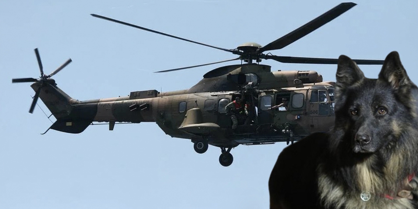 Mehmetçiğimizi koruyordu! PKK’lıların vurduğu kahraman köpek helikopterle Türkiye'ye getirildi!