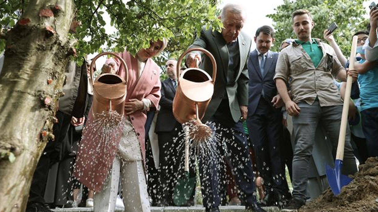 Cumhurbaşkanı Erdoğan'dan Dünya Çevre Günü mesajı: Herkesi daha duyarılı olmaya davet ediyorum