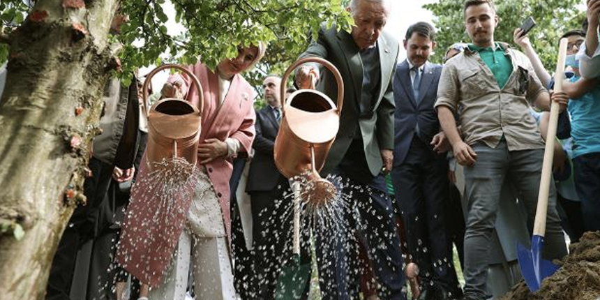 Cumhurbaşkanı Erdoğan'dan Dünya Çevre Günü mesajı: Herkesi daha duyarılı olmaya davet ediyorum