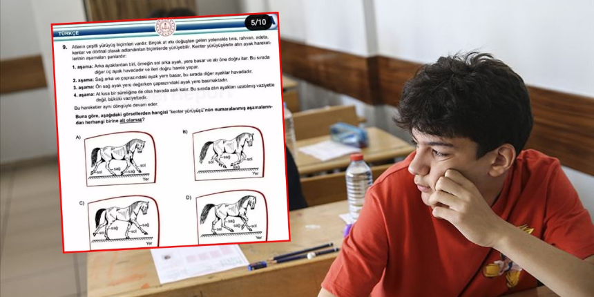 LGS'de sorulan 'at sorusu' sosyal medyada gündem oldu! İşte yapılan yorumlar...